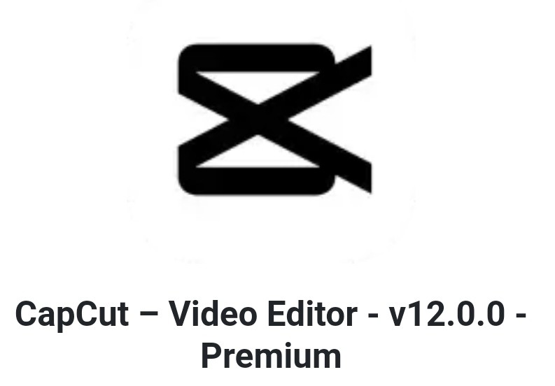 Capcut Pro