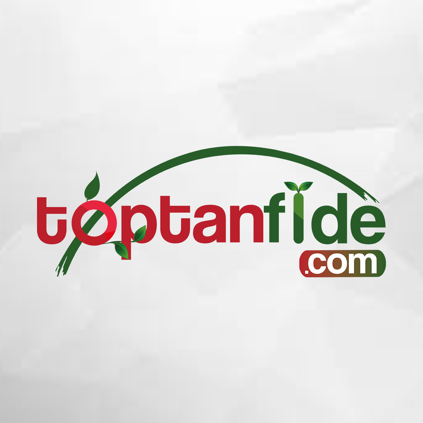 Toptanfide.com