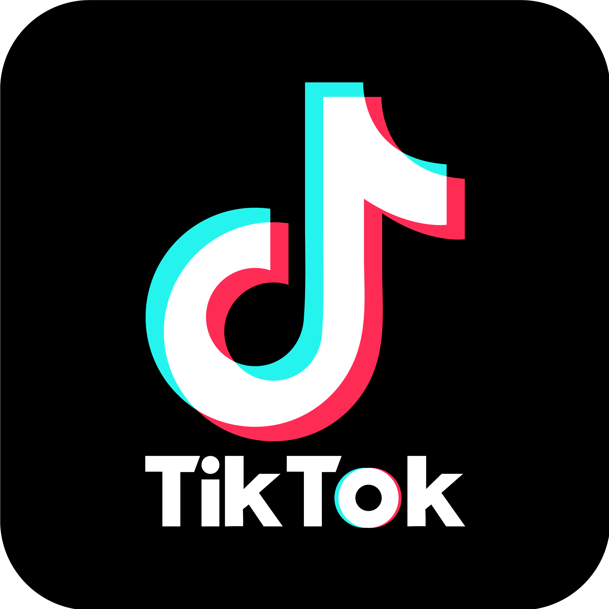 TikTok Servisleri