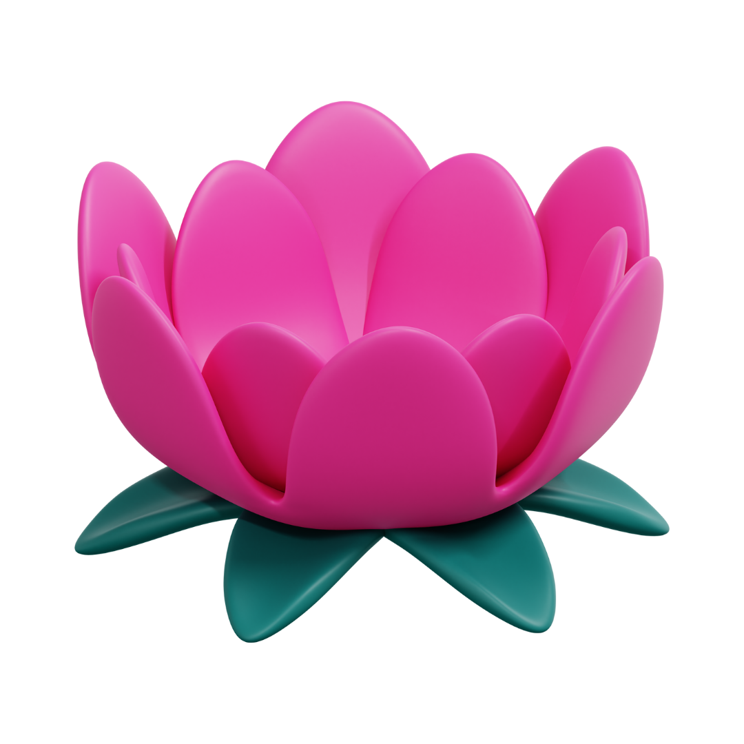 Meditasyon Videoları