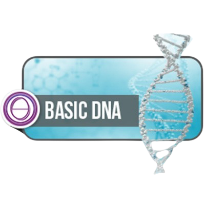ThetaHealing® Temel (Basic) DNA Semineri 23-24-25 Haziran Akşam