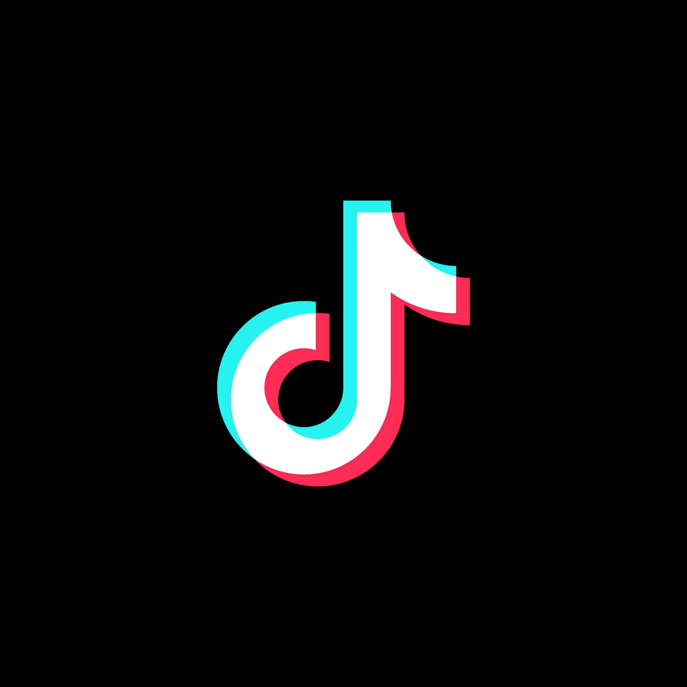 Vobix's Tiktok