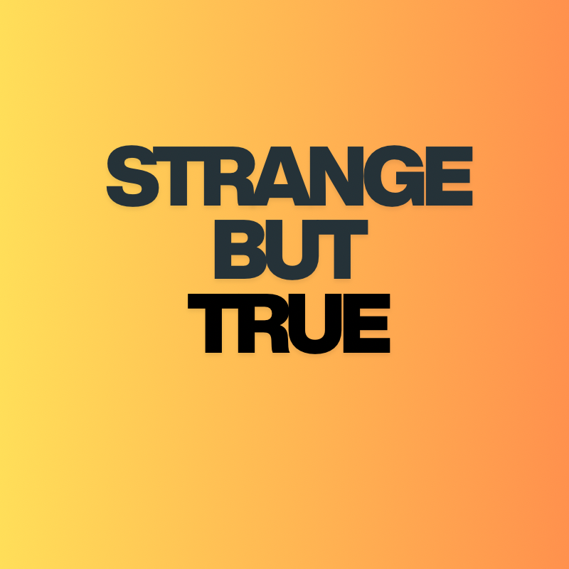 My YouTube Channel