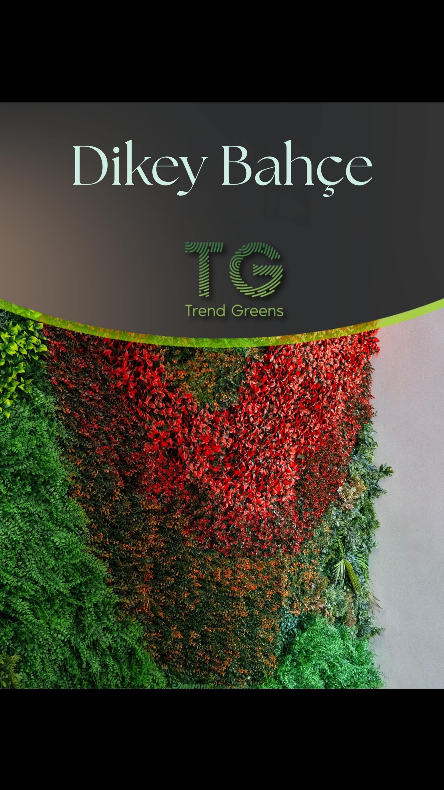 Duvar Uygulama Katoloğu