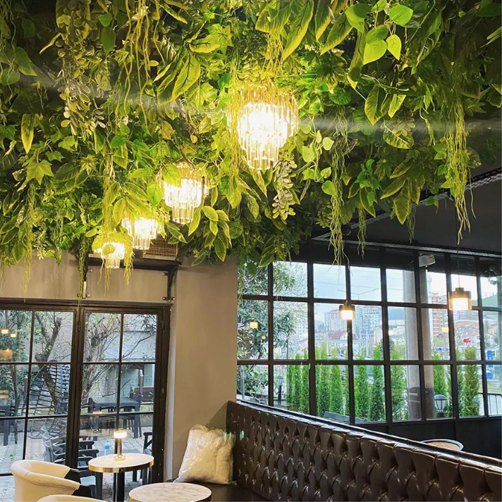 Asma Tavan Ve Sarmaşık Uygulamaları