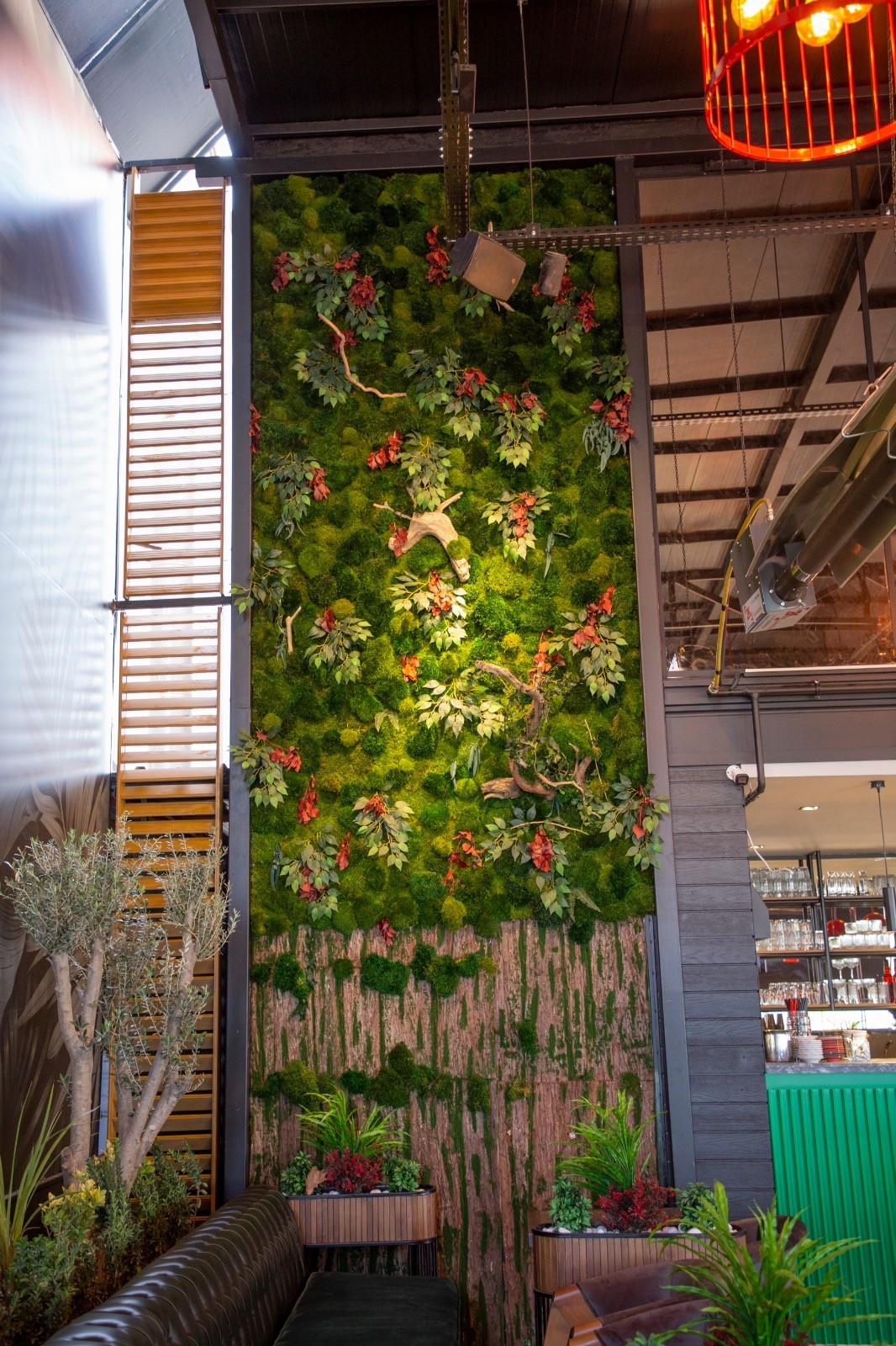 Stabilize Yosun Uygulamaları