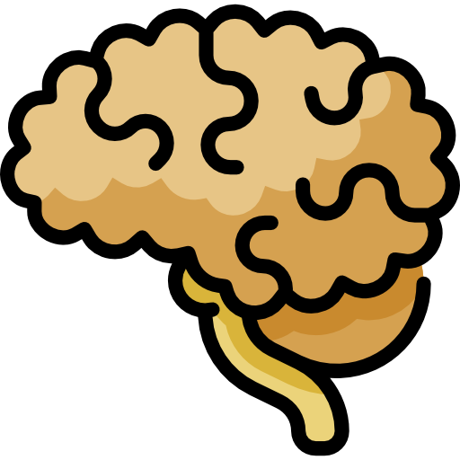 Psikologlara Noroloji Dersleri