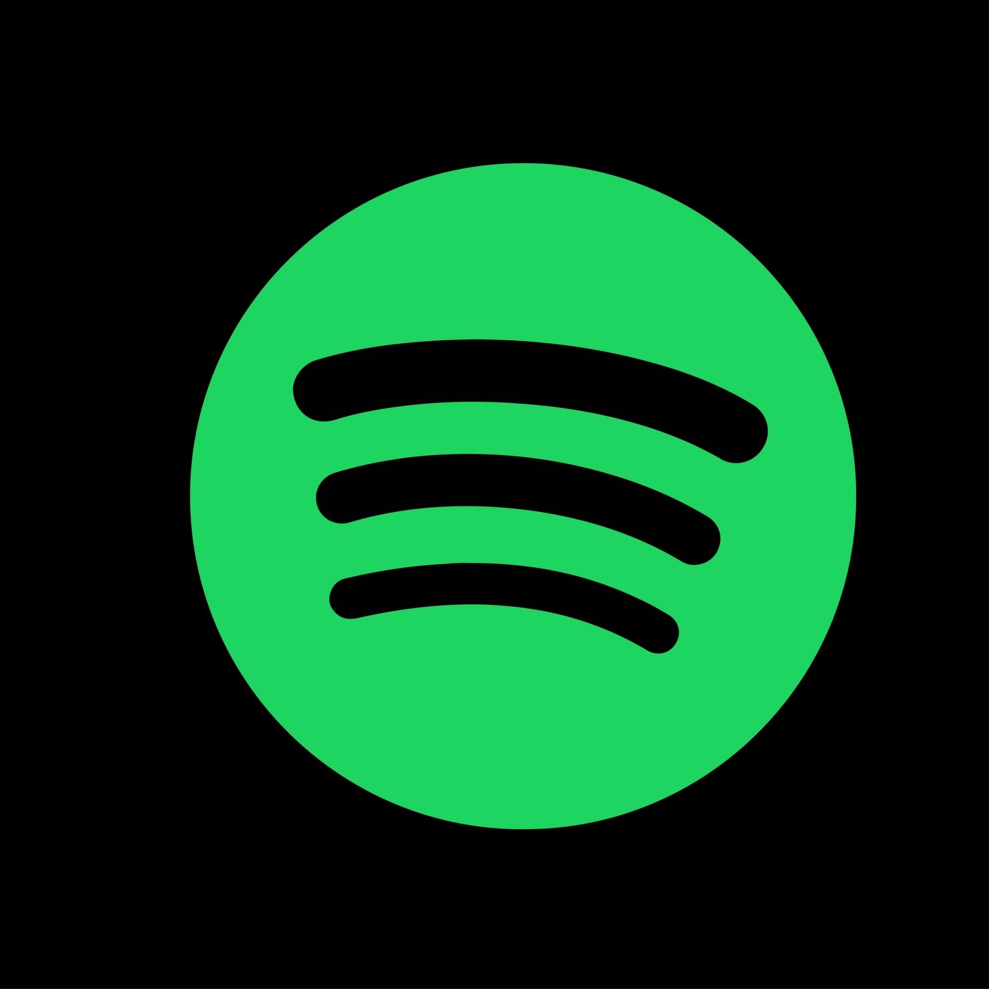 Spotify Artist