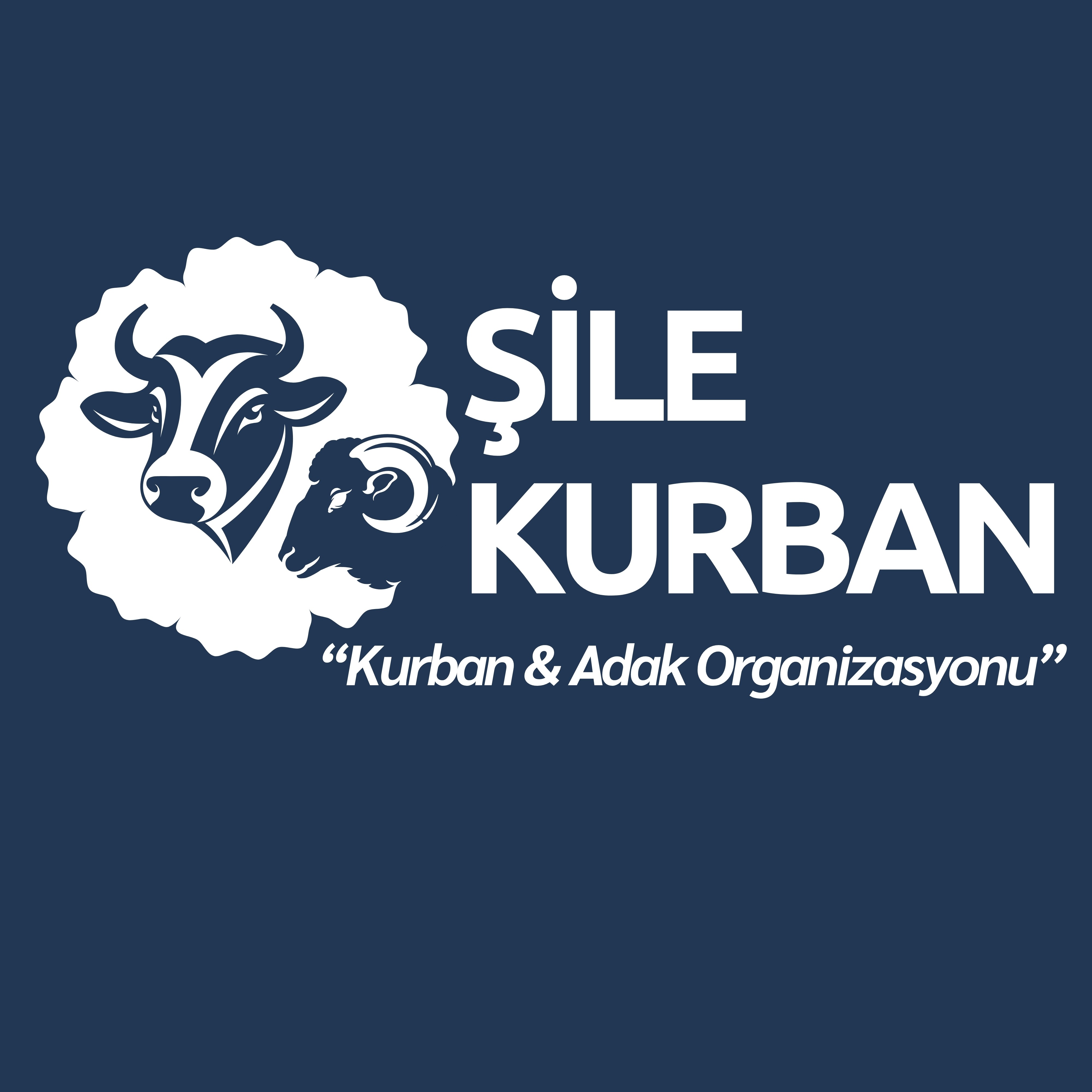 WhatsApp Kanalımız