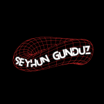 Seyhun Meriç Gündüz