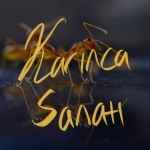 Karınca Sanatı