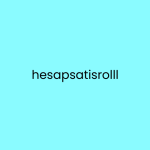 HesapSatışRolll