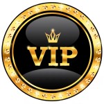 VIP EXPRESS KARGO